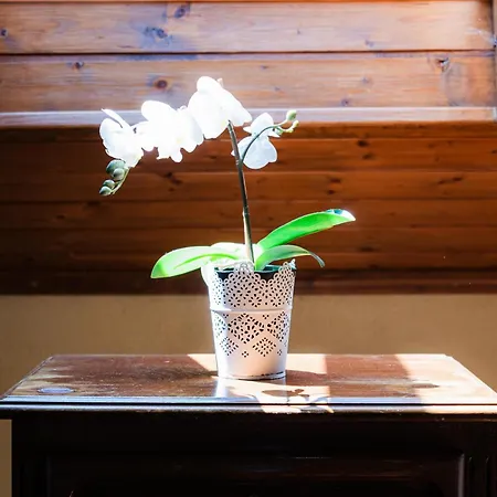 Casa Montanha Geres * Campo do Geres