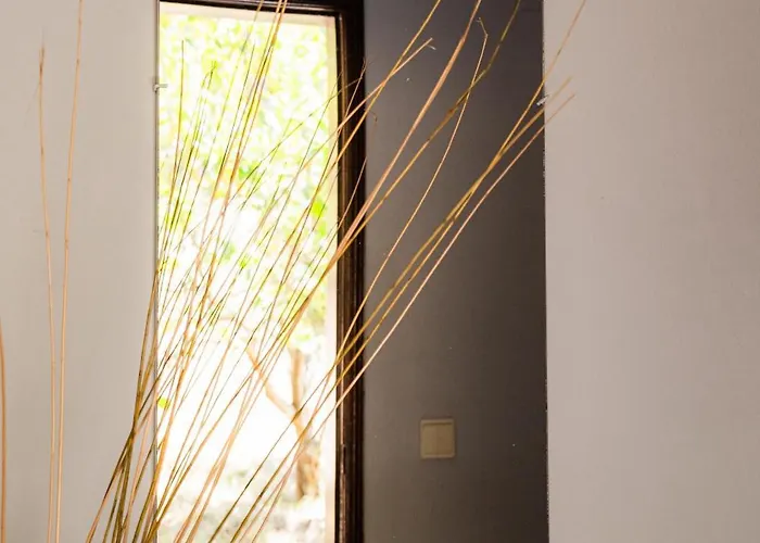 Lantgård Casa Montanha Geres Campo do Geres