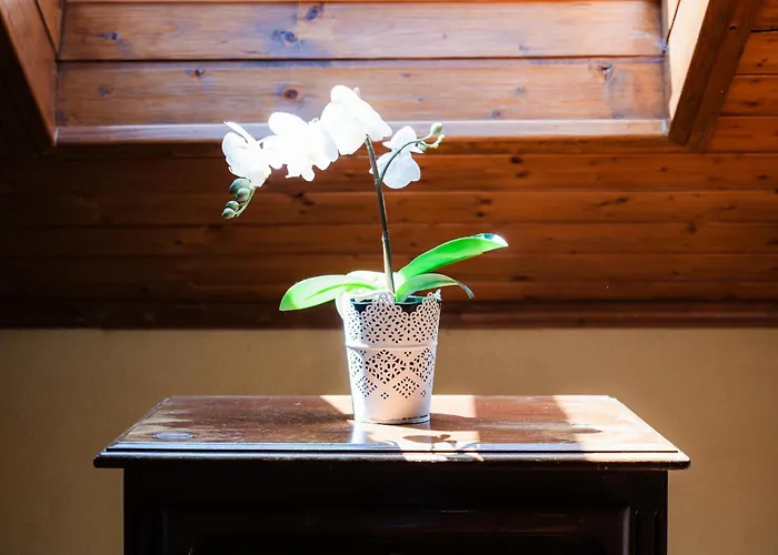 Casa Montanha Geres * Campo do Geres